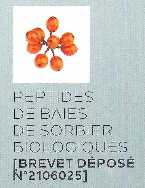 Peptides de baies de Sorbier bio / 2106 breveté